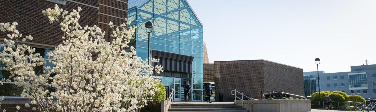 Kirkhof Center with white flowers blooming on bush